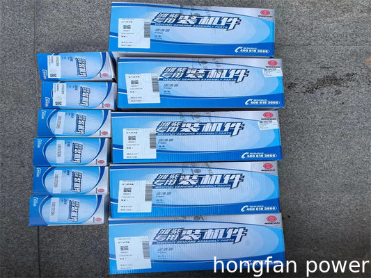 WEICHAI 6160ZC1	nozzle825B.00.00 DOP160S825-1424 Oil pump 160A.11B.00