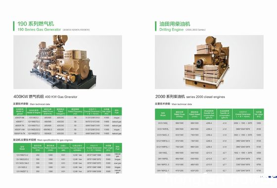 jinan diesel engine 500KW natural gas generator jichai brand