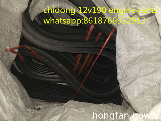 jichai JDEC JINAN diesel engine co,ltd chidong diesel engine parts H16V190ZLT2-2 GAS GENERATOR