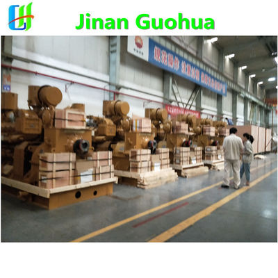 G12V190zldt-2 Natural Gas Generator Parts Used in Sudan