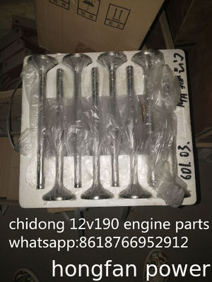 Co1200/20 Jinan Diesel Enigne Parts Chidong Brand for Drilling